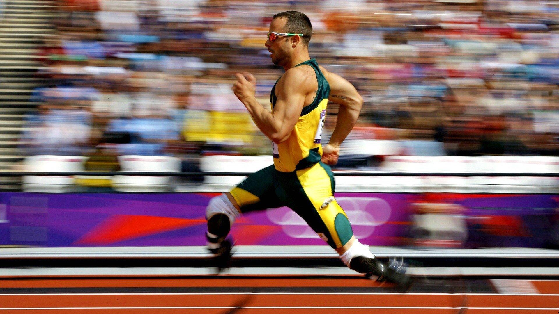 体育产业迎来新机遇,政策扶持与市场创新双轮驱动