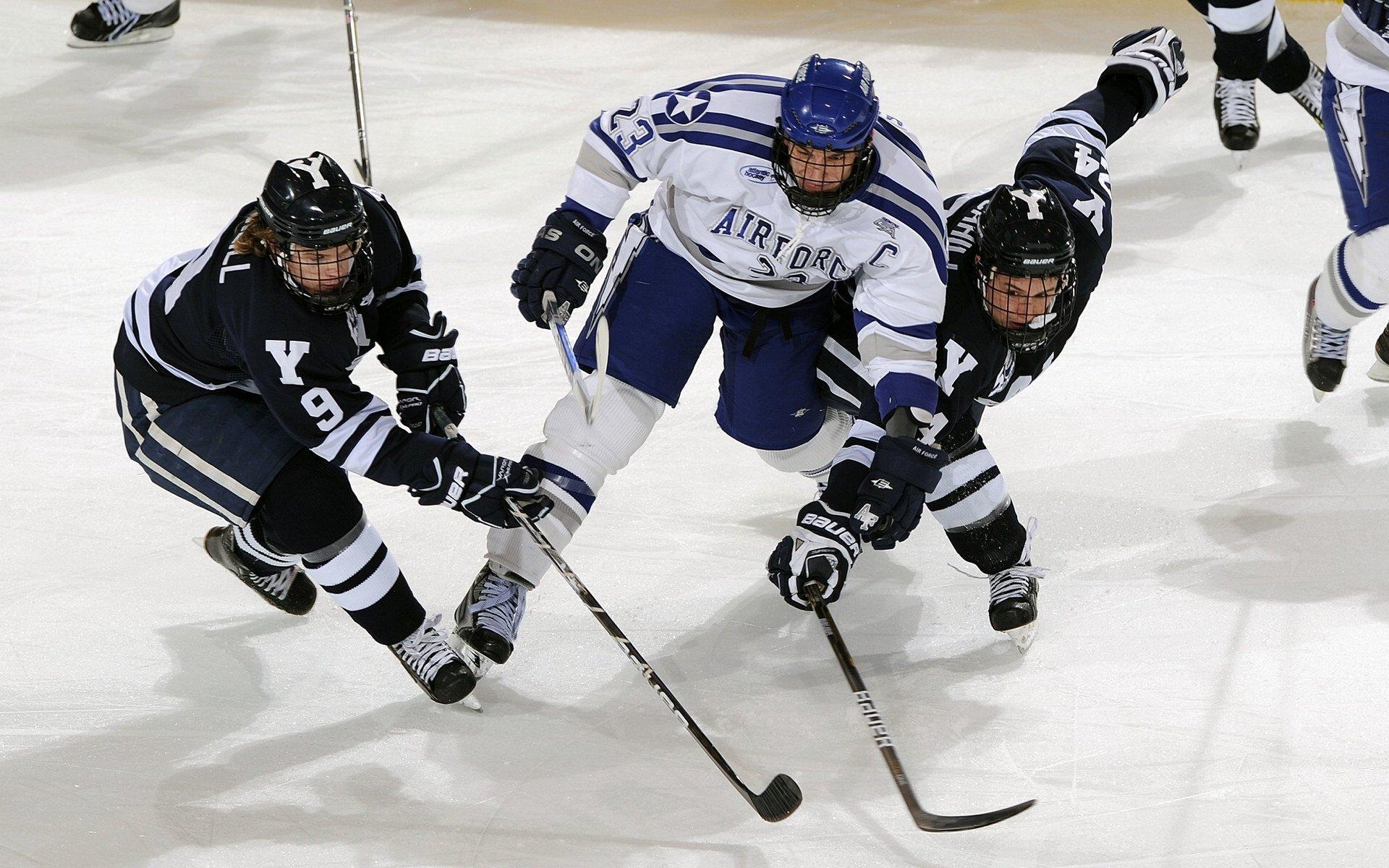 体育产业迎来新机遇，政策扶持与市场创新双轮驱动