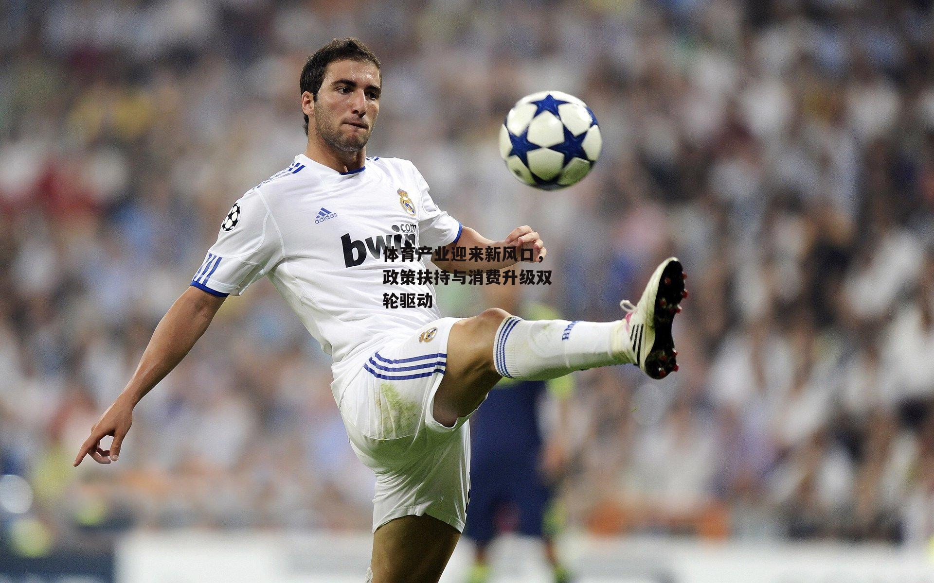 体育产业迎来新风口,政策扶持与消费升级双轮驱动