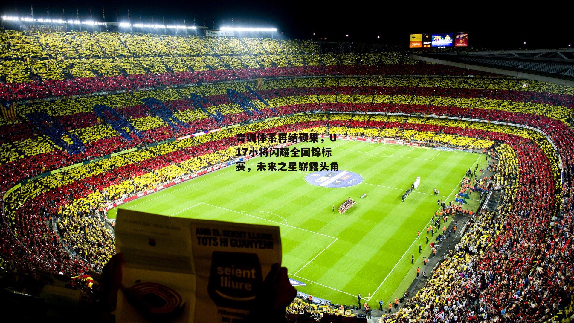 青训体系再结硕果,U17小将闪耀全国锦标赛,未来之星崭露头角