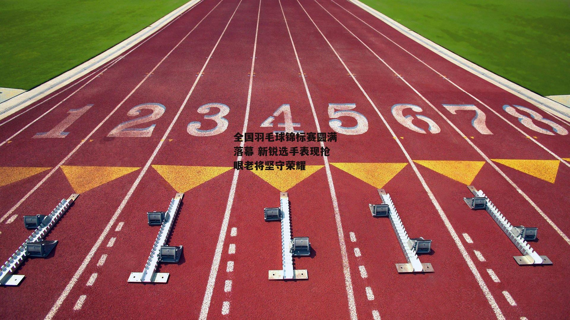 全国羽毛球锦标赛圆满落幕 新锐选手表现抢眼老将坚守荣耀