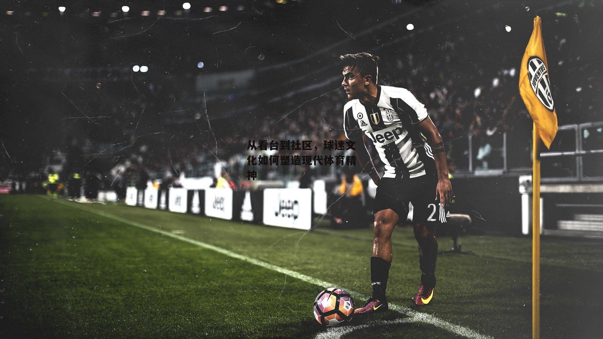 从看台到社区，球迷文化如何塑造现代体育精神